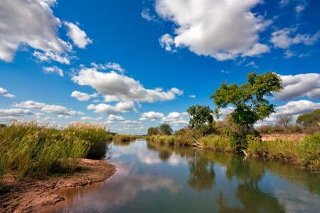 Optimized JPEG image